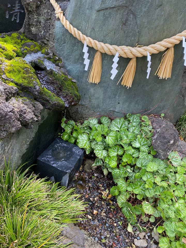 日々の境内の写真 8