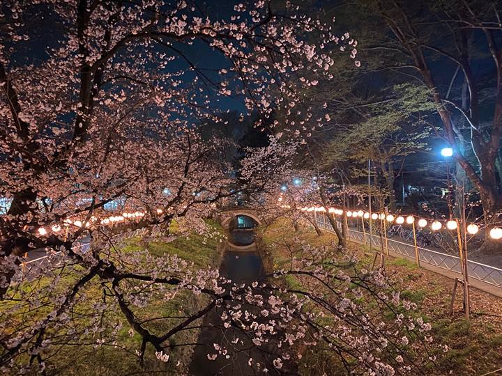 日々の境内の写真 10